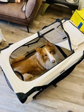 XXL Hundetransportbox faltbar