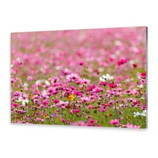 Glasbilder Wandbild Druck auf