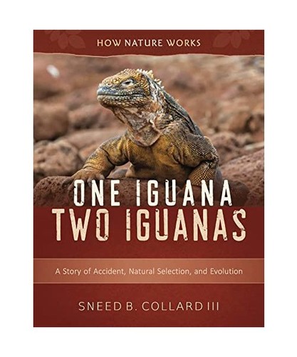 One iguana two - iguana,, a