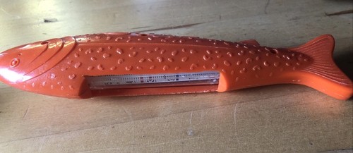 Badethermometer fisch rot - fisch, in