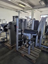 Gym80 Sygnum  Arm Curl