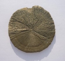 Funkelnde, traumhafte Pyrit