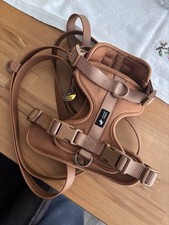 Set aus Geschirr und Leine