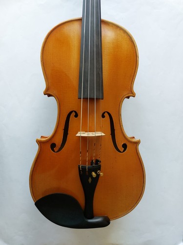 Viola bratsche mit zettel - mit,