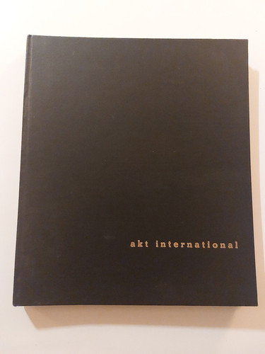 Aktfotografie akt - aktfotografie,