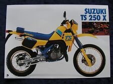 Suzuki TS 250 X Prospekt , 2 Seiten