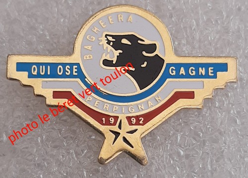 Pins dgse service action - dgse,