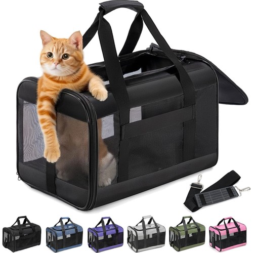 Katzentransportbox
