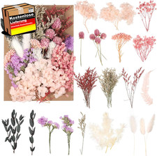 Getrocknete Blumen natur zum
