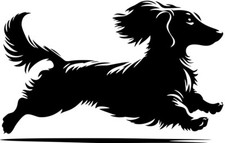  DACKEL(Langhaar) Aufkleber