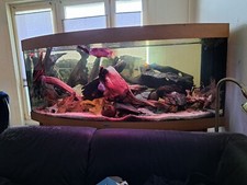 JUWEL Rio Vision Aquarium 450 L