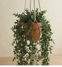 Pellefarn Kunstpflanze