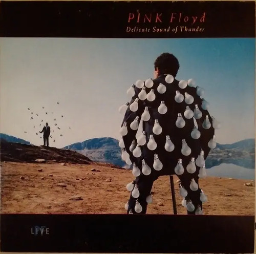 Pink floyd delicate sound - pink, of