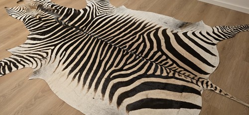 Hartmann bergzebra zebrafell - hartmann,