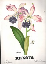 AD WERBUNG PARFUM PARFÜM RENOIR FILZ JULES BLANCHARD UND SEINE FILS