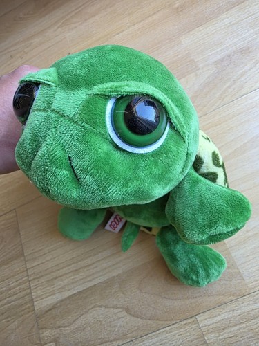 Nici grüne schildkröte - grüne,