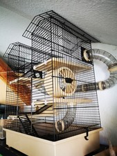 XXXL Hamster Burg, Hamster