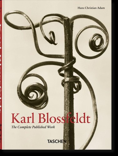 Karl blossfeldt hans - karl,