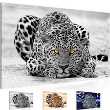 Wandbilder Wohnzimmer Afrika