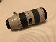 Canon EF 70-200mm f/2.8L IS II