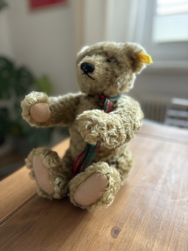 Original steiff 000737 - original:,