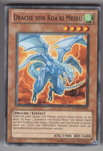 Drache von koa - drache,