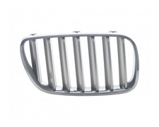 Kühlergitter Kühlergrill