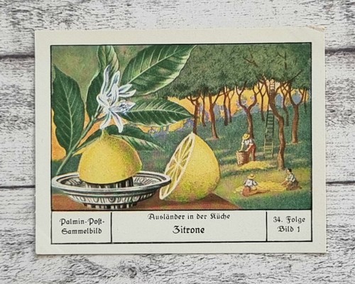 Zitrone ausländer küche - zitrone,