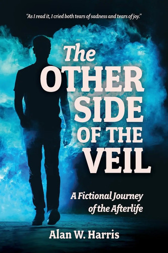 The other side veil - the,