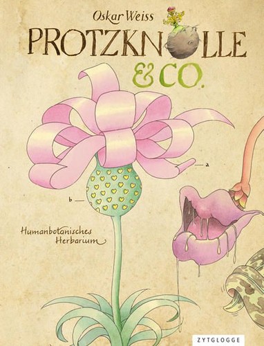 Protzknolle co - &,