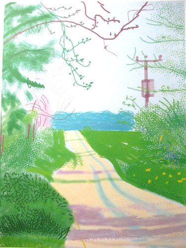 David hockney lithographie - david,