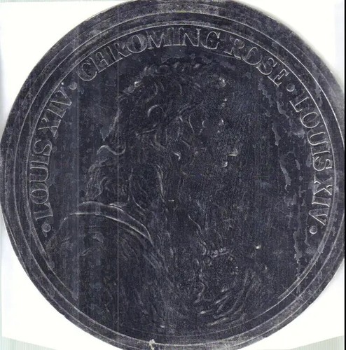 Chroming rose louis xiv - louis,