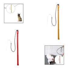 Hundetraining mit der