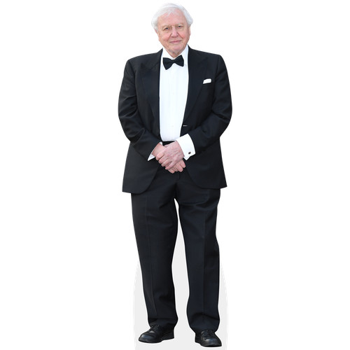 David attenborough - david, tie)