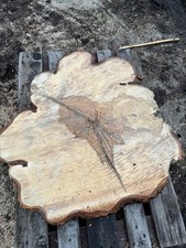 Baumscheibe Tischplatte Deko