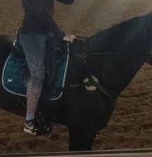 Neuwertiger thorowgood Dressursattel 17,5