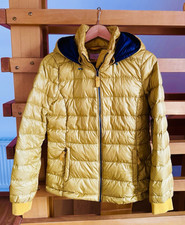 Comma Casual Identitiy