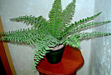 Farnpflanze Kunstpflanze mit Topf   1 Stück
