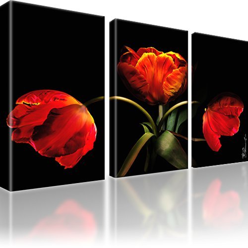 Tulpen blumen bild teilig - bild, 3