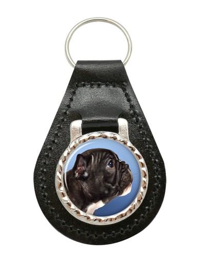 Französische bulldogge profil - französische,