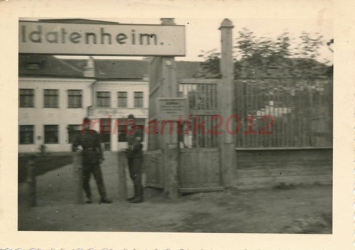 Foto brüder aus wien - brüder,