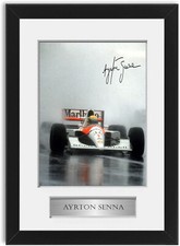 Ayrton Senna F1 Champion