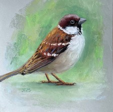 Vogel Spatz Original Pastell