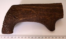 Geweihreste zum Basteln