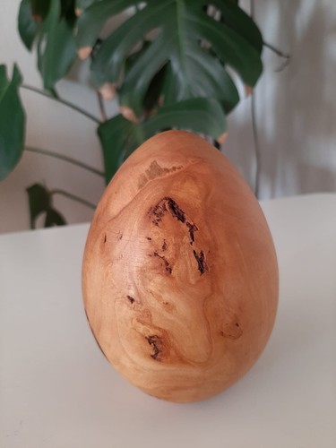Dekoeier aus traubenkirsche - dekoeier,