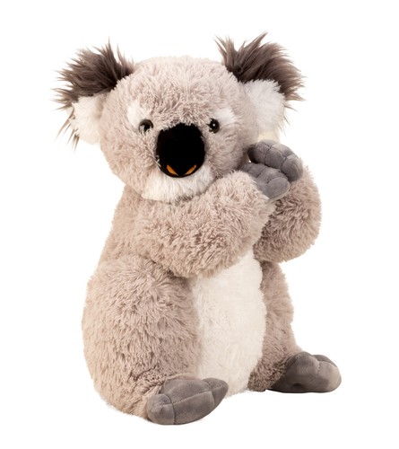 Koala bär plüschtier - koala,