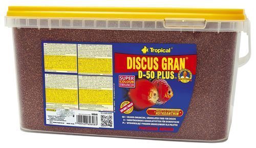 Tropical discus gran - tropical, d