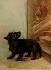 A4 Foto Earl Maud 1864 1943