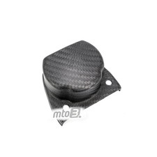 Carbon Auspuffhitzeschutz für