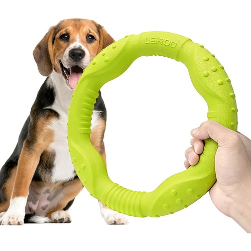 Hund frisbee ring - hund,